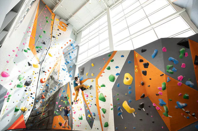 Why Climbing Walls Are a Smart Investment for Universities
