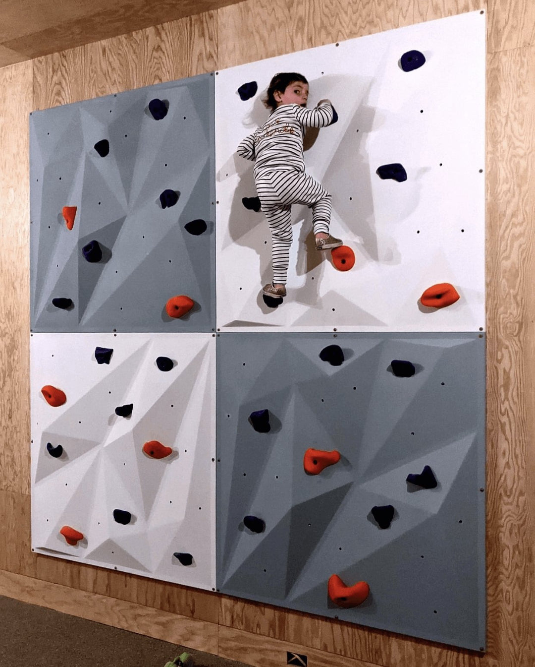 Beginner Climbing Walls for Young Kids