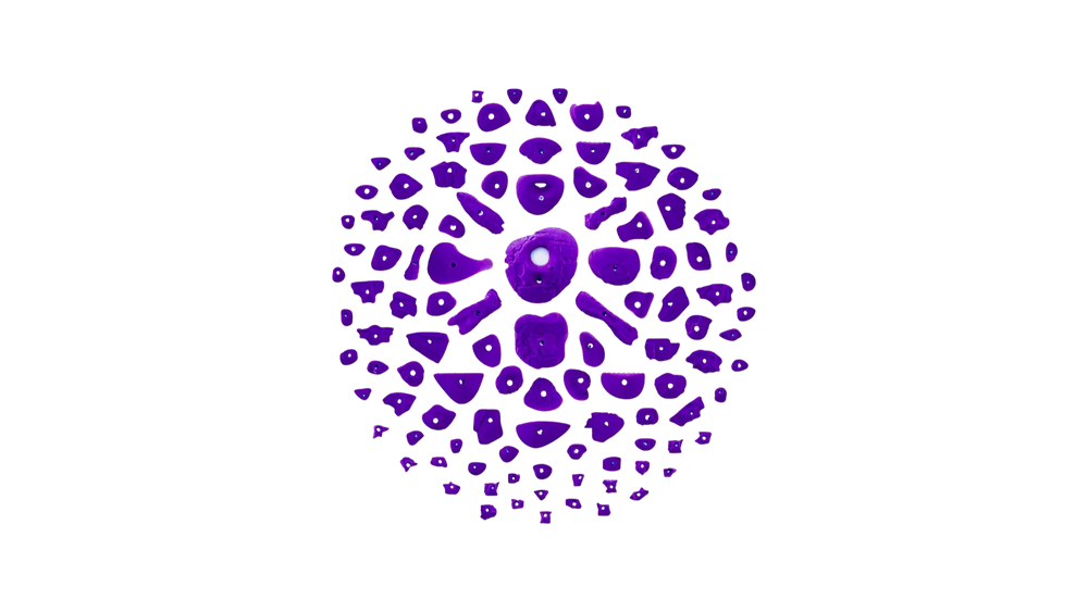 Classic Home Gym Kit