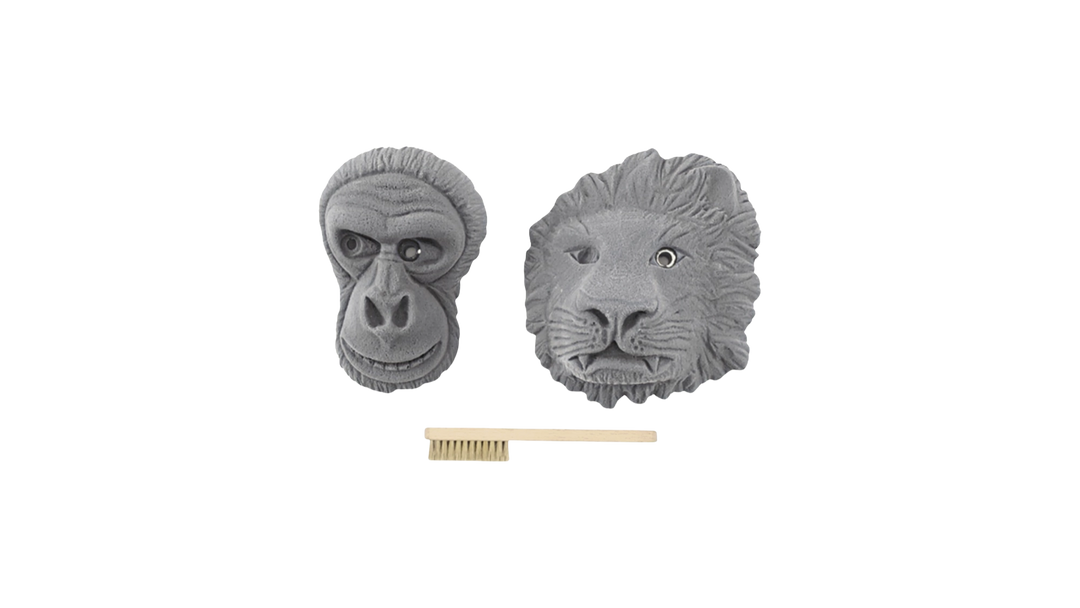 Jungle Animals
