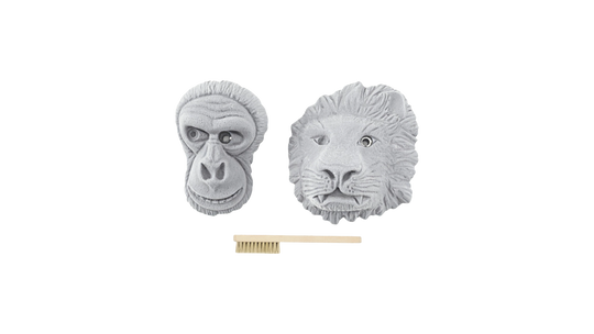 Jungle Animals