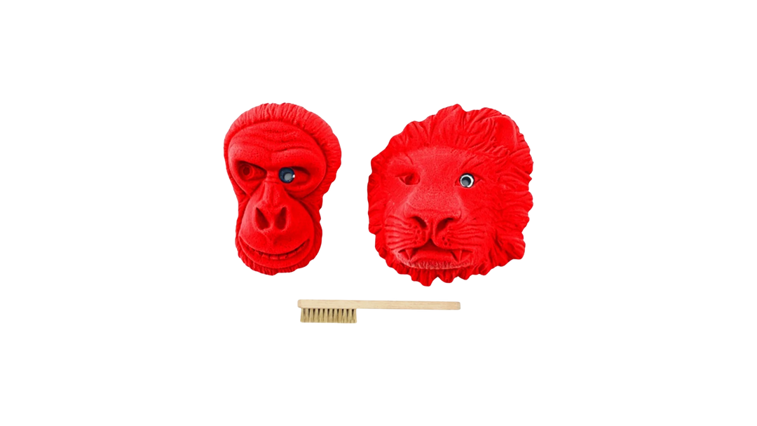 Jungle Animals