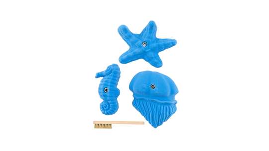Sea Food