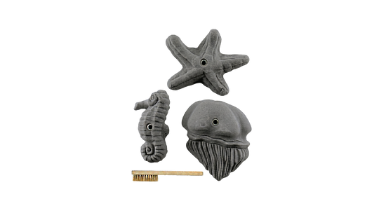 Sea Food