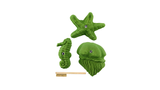 Sea Food