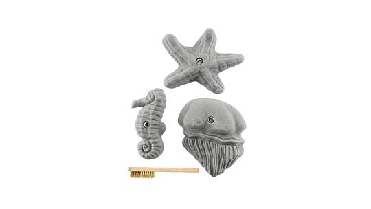 Sea Food