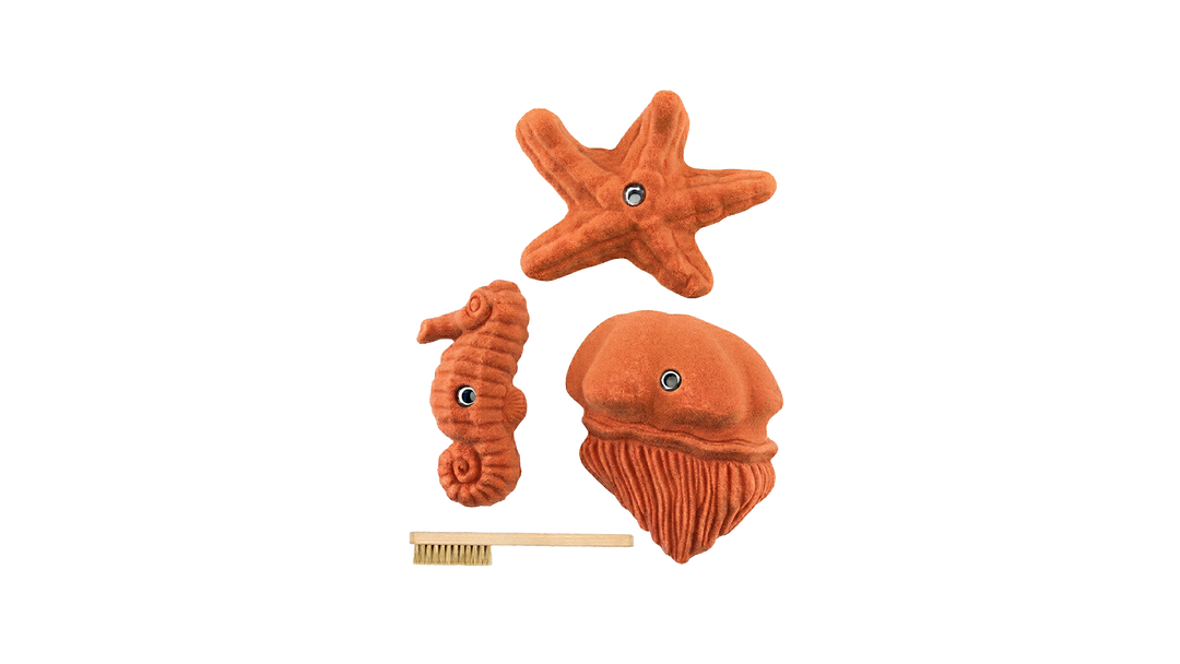 Sea Food