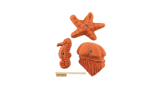 Sea Food