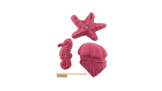 Sea Food