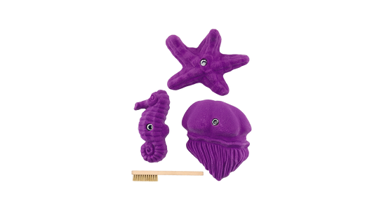 Sea Food
