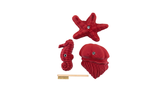 Sea Food
