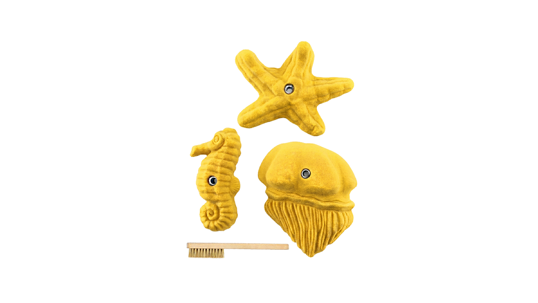 Sea Food