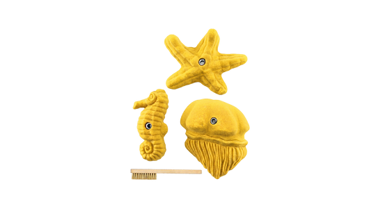 Sea Food